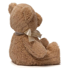 GUND MY FIRST TEDDY 10"
