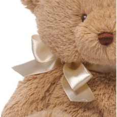GUND MY FIRST TEDDY 10"