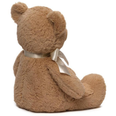 GUND MY FIRST TEDDY 18"