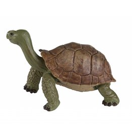 SAFARI SAFARI GIANT TORTOISE