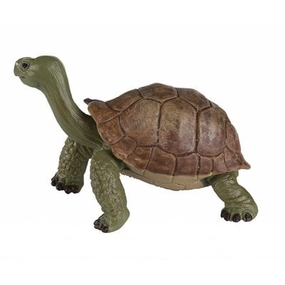 SAFARI SAFARI GIANT TORTOISE