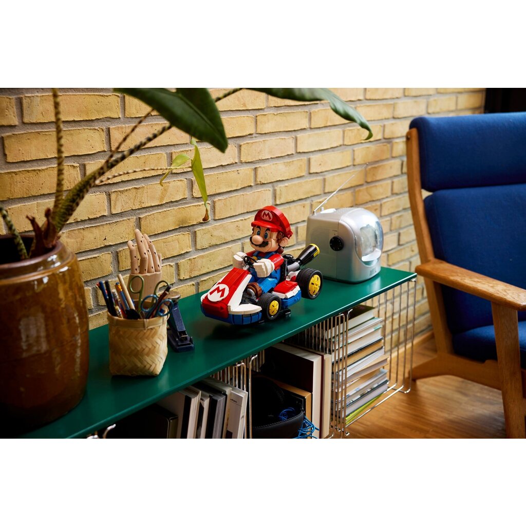 LEGO MARIO & STANDARD KART
