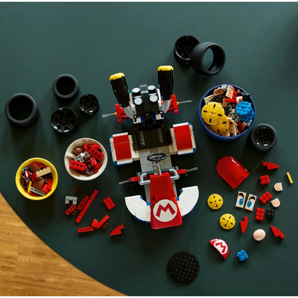 LEGO MARIO & STANDARD KART