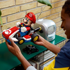 LEGO MARIO & STANDARD KART