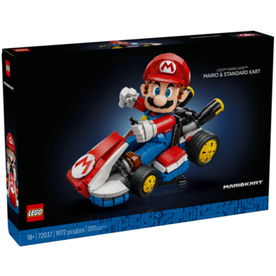 LEGO MARIO & STANDARD KART