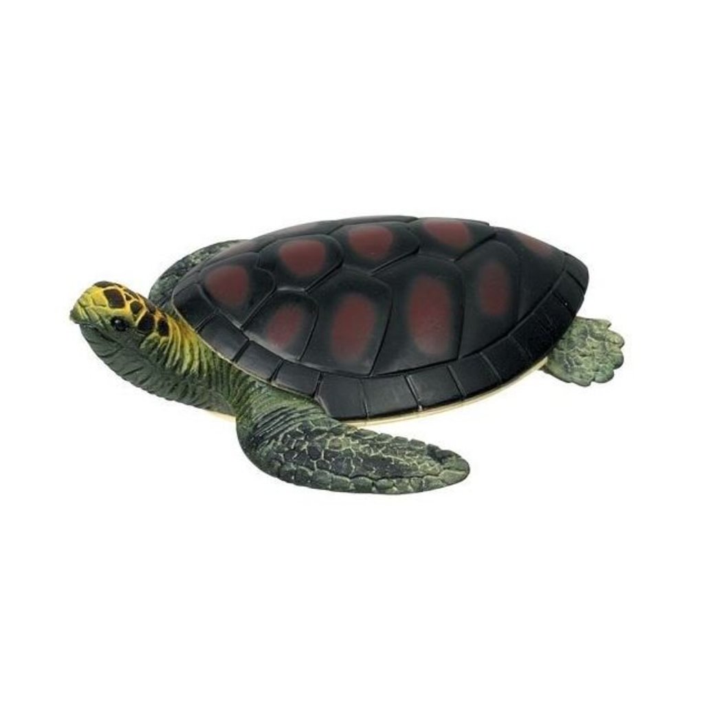 turtle squishy toy