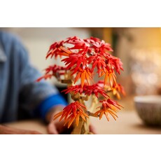 LEGO JAPANESE RED MAPLE BONSAI TREE