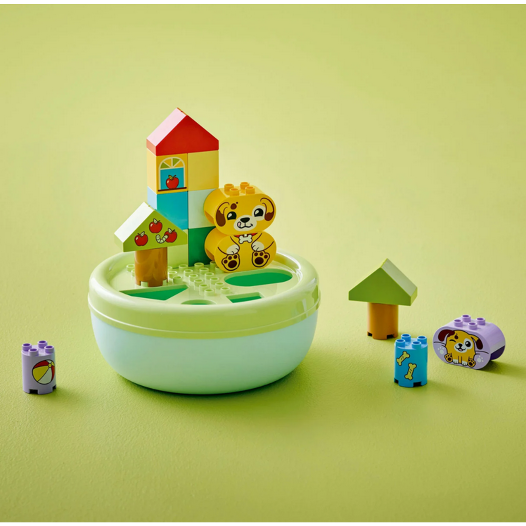 LEGO SHAPE SORTER: PUPPY HOUSE