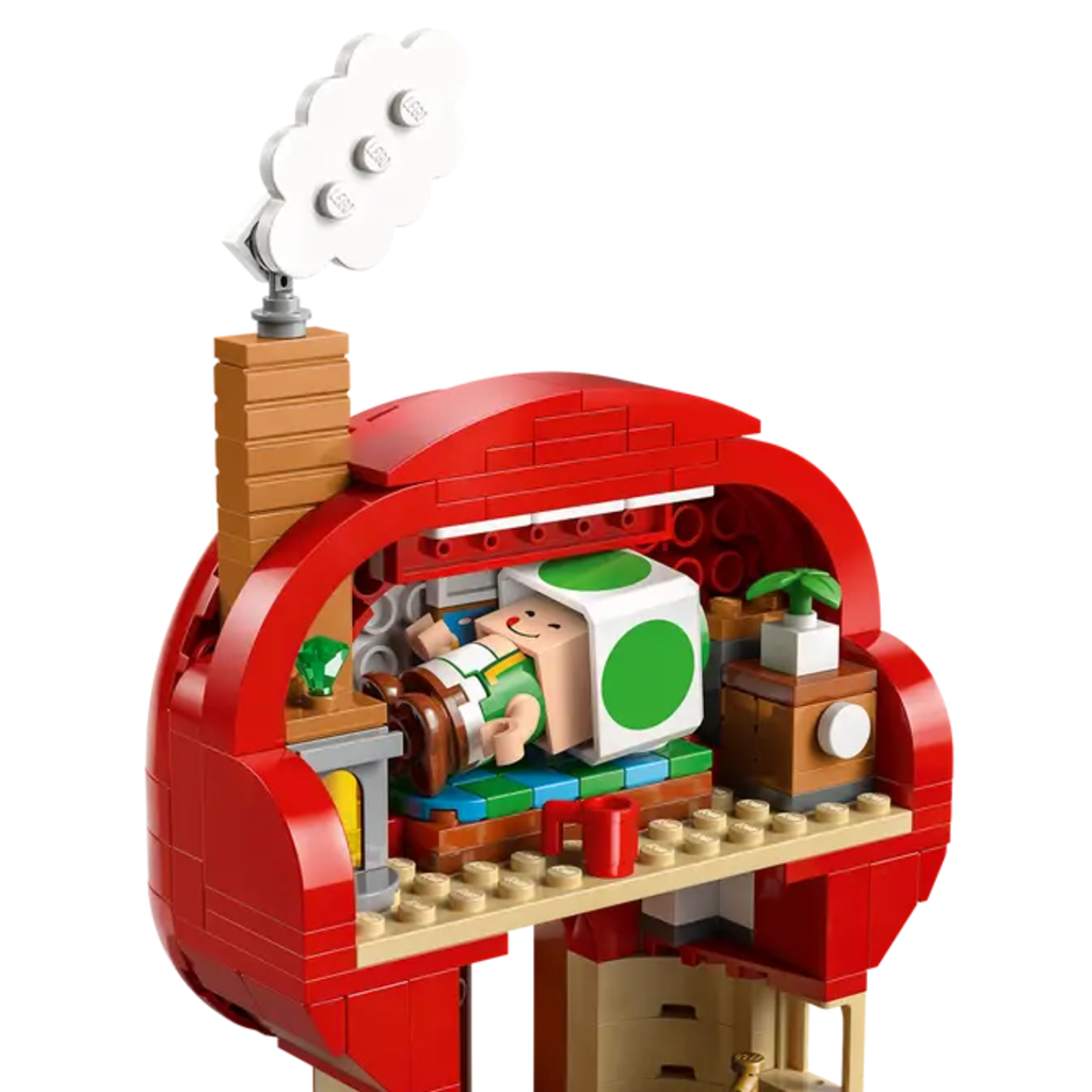 LEGO PARTY AT TOAD'S HOUSE