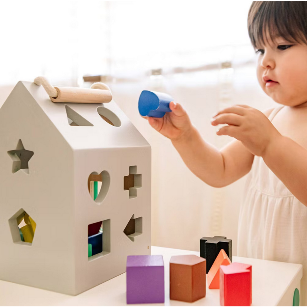 WONDER & WISE HIP SHAPE WOOD SORTER