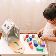WONDER & WISE HIP SHAPE WOOD SORTER