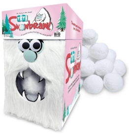 BIG DISCOVERIES YETI SNOWBRAWL GAME
