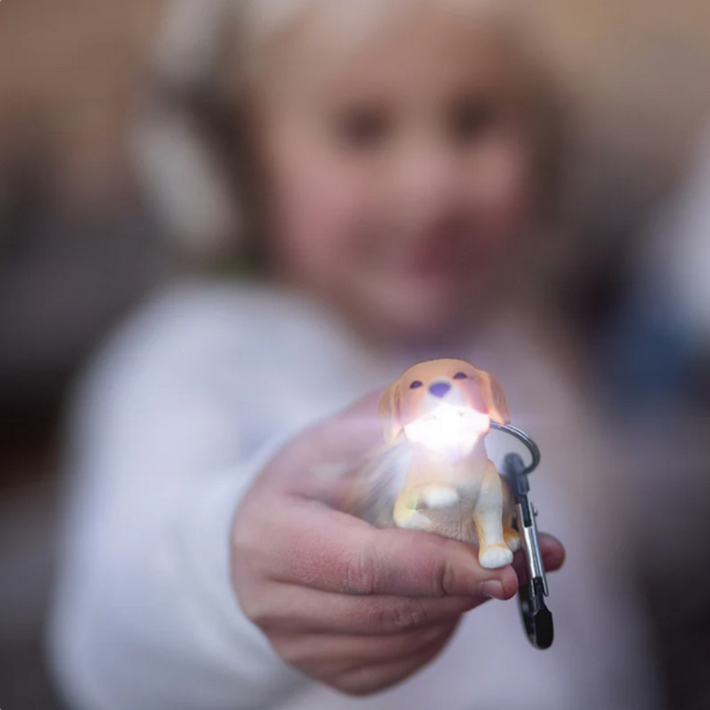 WILDLIGHT KEYCHAIN