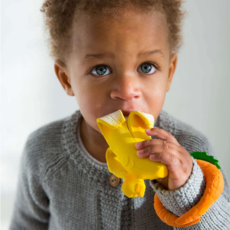 OLI & CAROL ANA BANANA TEETHER**