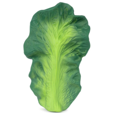 KENDALL THE KALE TEETHER