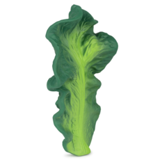 KENDALL THE KALE TEETHER