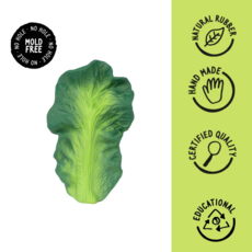 KENDALL THE KALE TEETHER