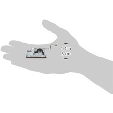 KIKKERLAND MUSIC BOX