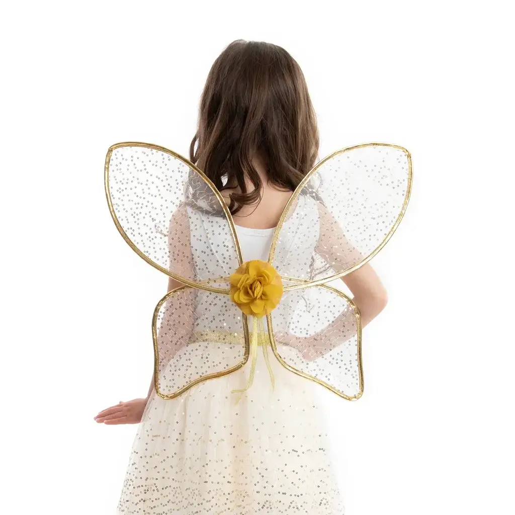 FAIRY WINGS