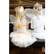 FAIRY WINGS