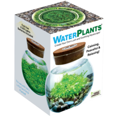 SILVER CIRCLE WATERPLANTS CREATE YOUR OWN AQUASCAPE