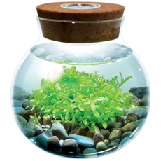 SILVER CIRCLE WATERPLANTS CREATE YOUR OWN AQUASCAPE