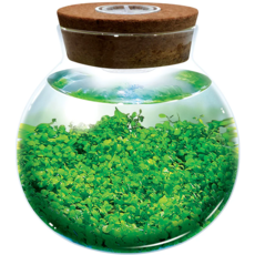 SILVER CIRCLE WATERPLANTS CREATE YOUR OWN AQUASCAPE