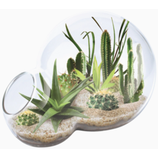 SILVER CIRCLE DESERT ESCAPE GROWARIUM