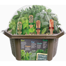 SILVER CIRCLE CULINARY HERB  COLLECTION