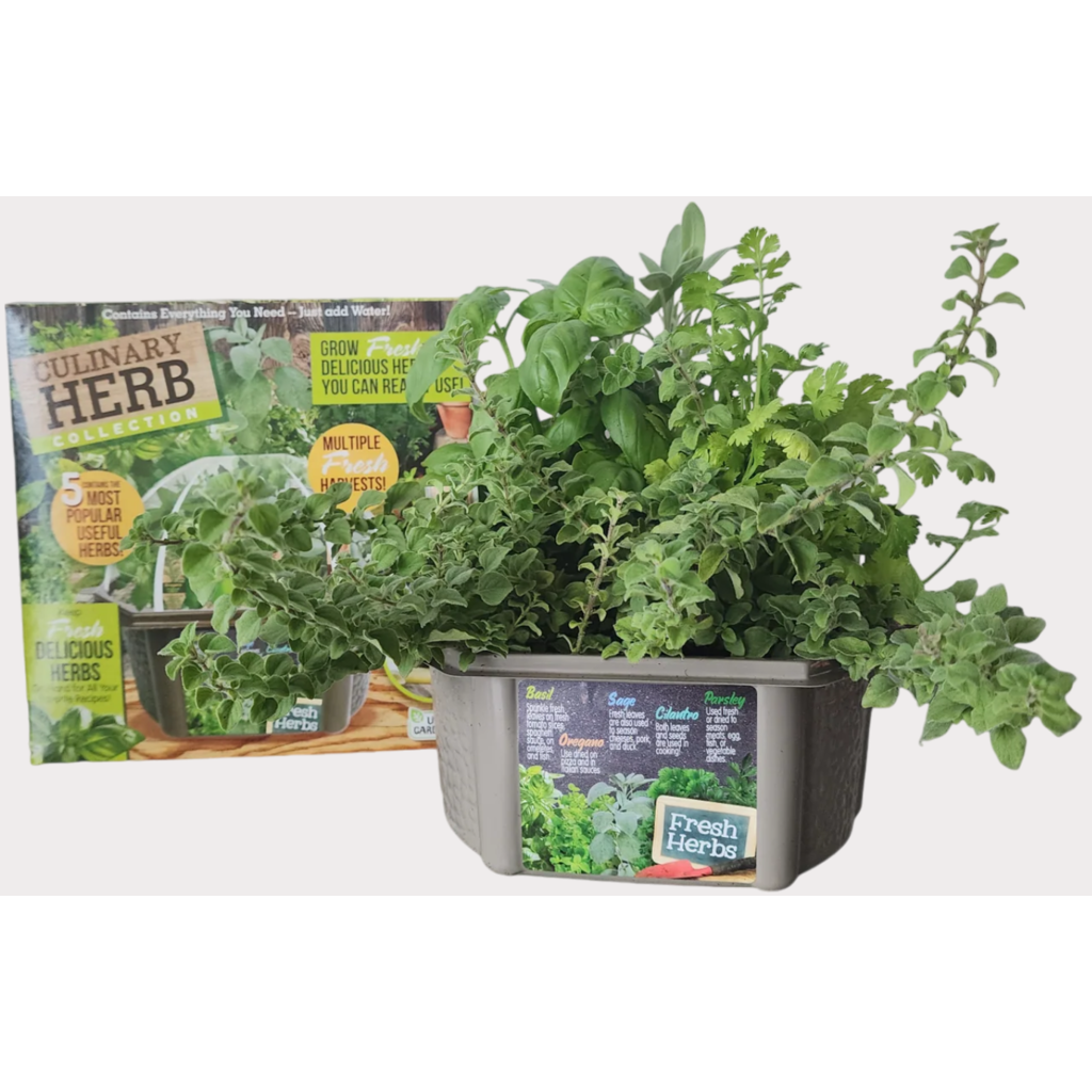 SILVER CIRCLE CULINARY HERB  COLLECTION