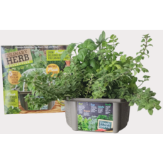 SILVER CIRCLE CULINARY HERB  COLLECTION