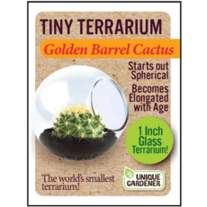 SILVER CIRCLE TINY TERRARIUM CACTUS