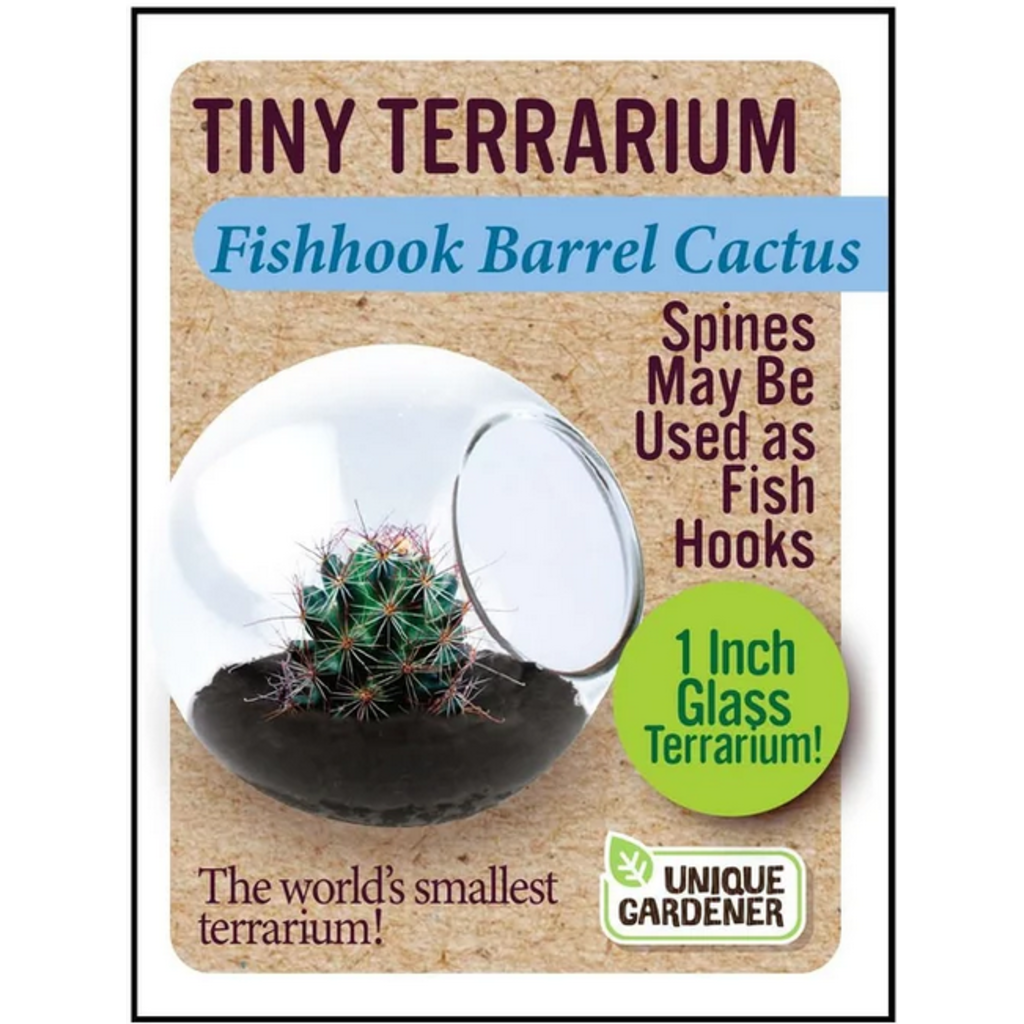 SILVER CIRCLE TINY TERRARIUM CACTUS
