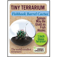 SILVER CIRCLE TINY TERRARIUM CACTUS