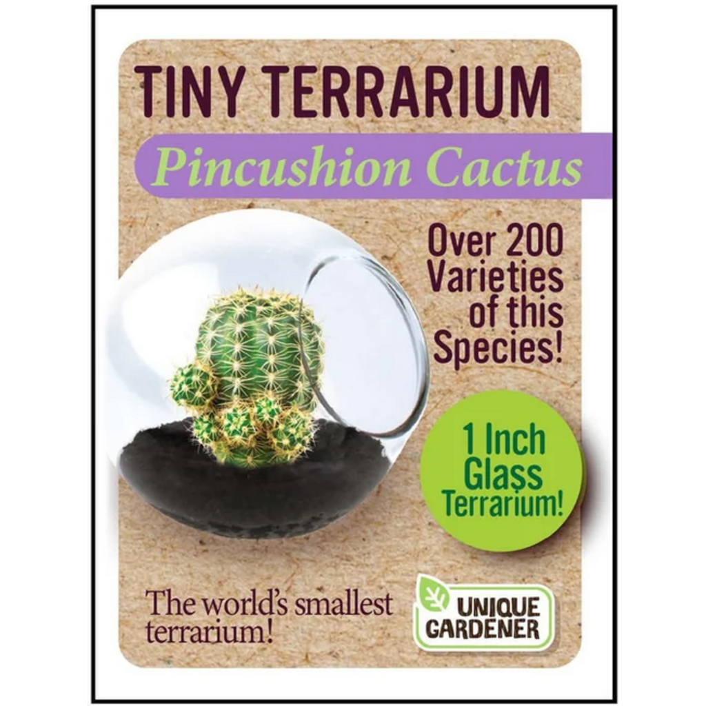 SILVER CIRCLE TINY TERRARIUM CACTUS