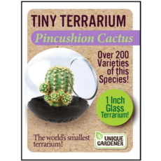 SILVER CIRCLE TINY TERRARIUM CACTUS