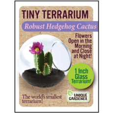 SILVER CIRCLE TINY TERRARIUM CACTUS