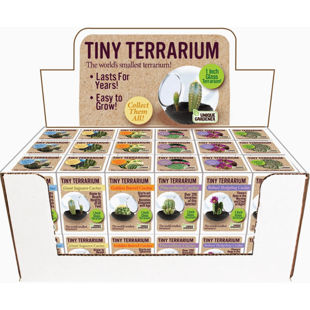 SILVER CIRCLE TINY TERRARIUM CACTUS