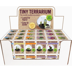 SILVER CIRCLE TINY TERRARIUM CACTUS