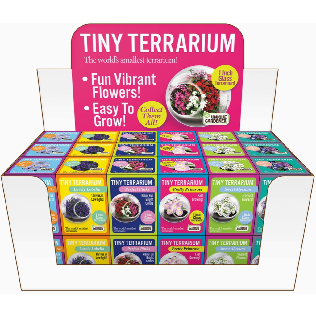 SILVER CIRCLE TINY TERRARIUM FLOWERS