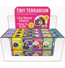 SILVER CIRCLE TINY TERRARIUM FLOWERS