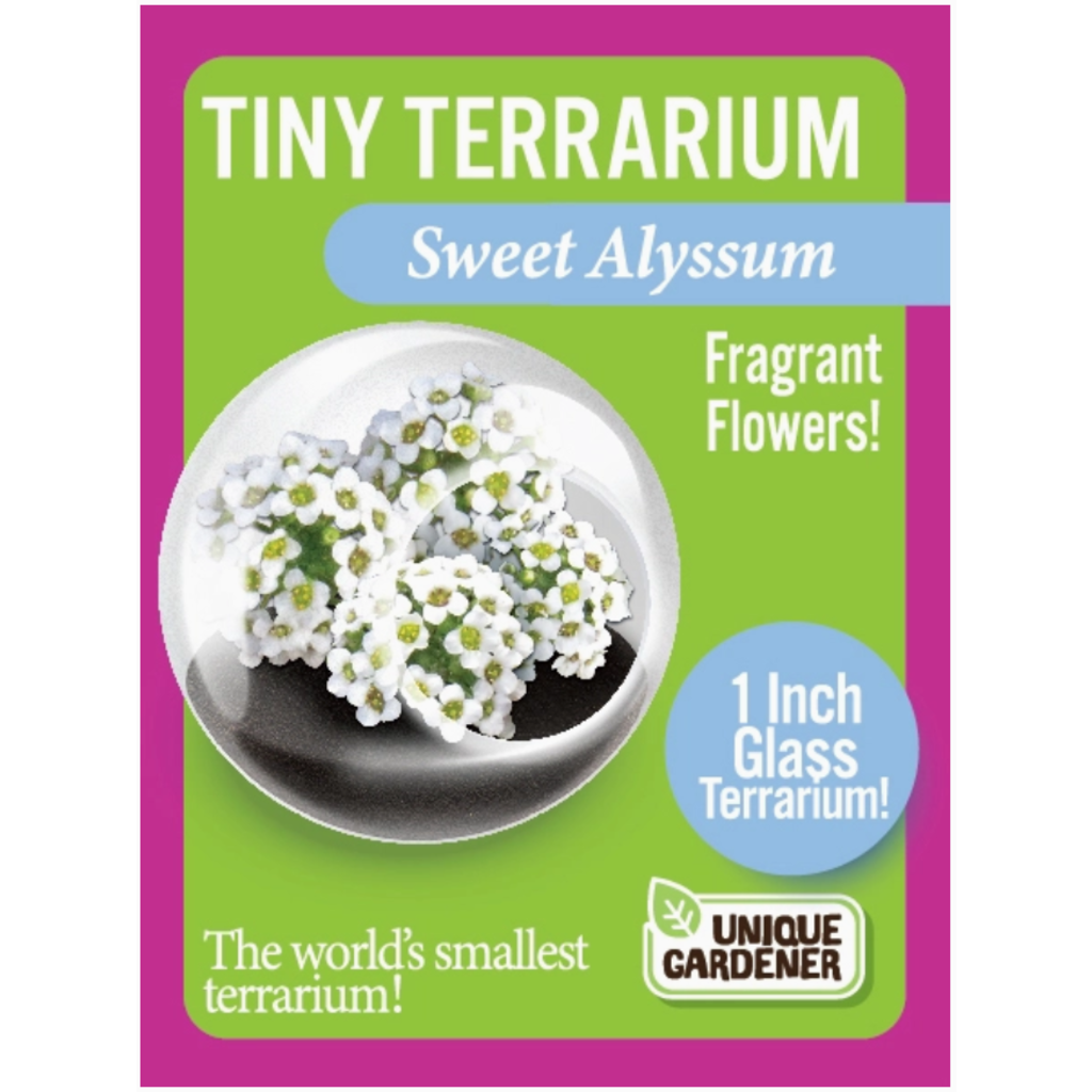 SILVER CIRCLE TINY TERRARIUM FLOWERS