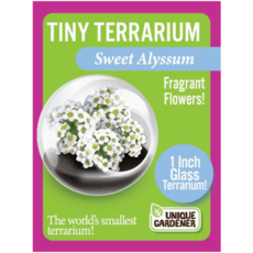 SILVER CIRCLE TINY TERRARIUM FLOWERS