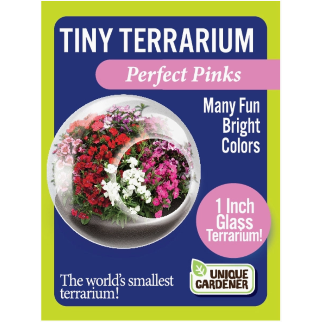 SILVER CIRCLE TINY TERRARIUM FLOWERS