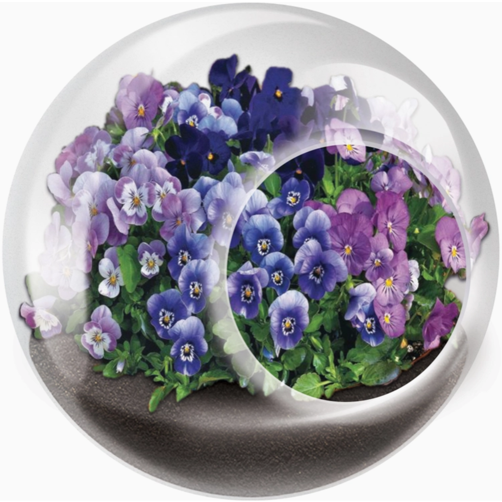 SILVER CIRCLE TINY TERRARIUM FLOWERS