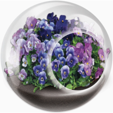 SILVER CIRCLE TINY TERRARIUM FLOWERS