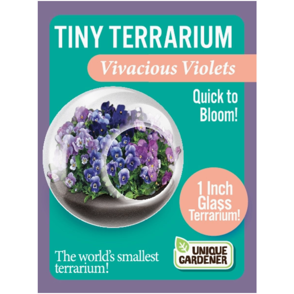 SILVER CIRCLE TINY TERRARIUM FLOWERS