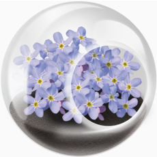 SILVER CIRCLE TINY TERRARIUM FLOWERS