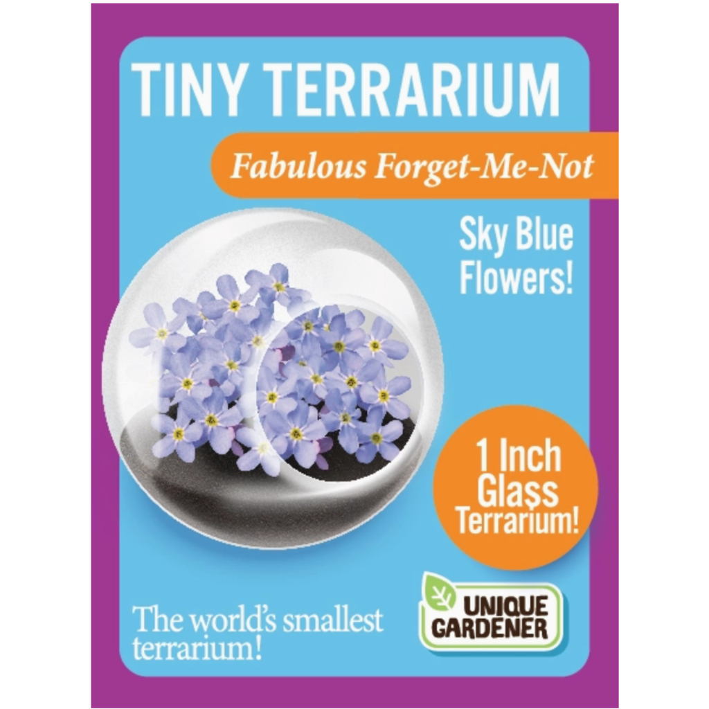 SILVER CIRCLE TINY TERRARIUM FLOWERS