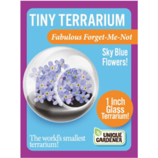 SILVER CIRCLE TINY TERRARIUM FLOWERS